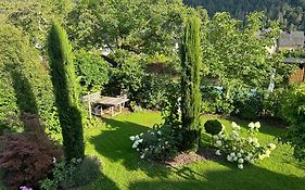 York Cottage Garden